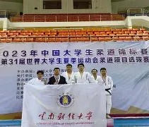 南宫28-关于柔道夜战：蓬莱银狐队强势反弹荆楚猎隼队，主帅临场妙招客场静默反击的信息